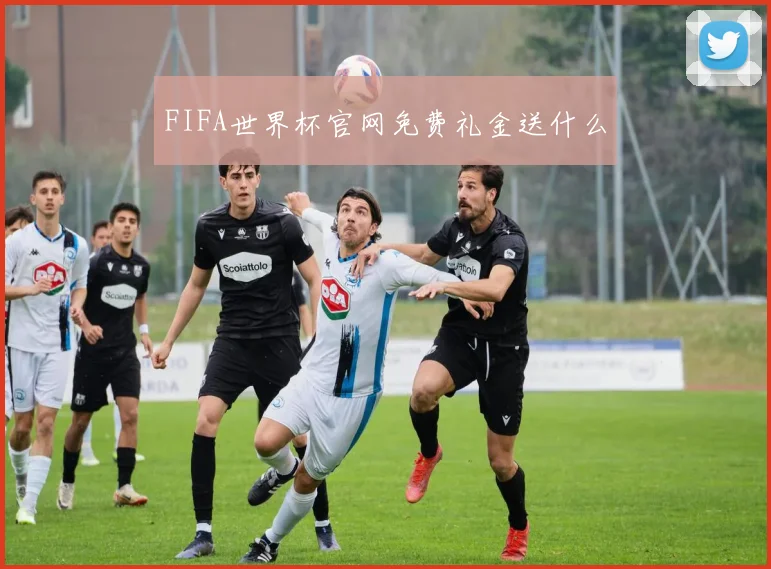 FIFA世界杯官网免费礼金送什么