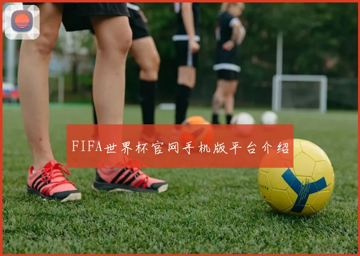 FIFA世界杯官网手机版平台介绍