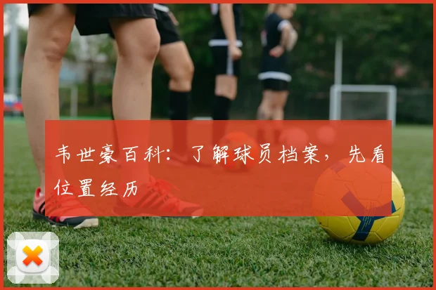 韦世豪百科：了解球员档案，先看位置经历