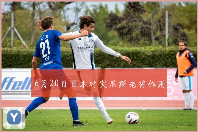 6月20日日本对突尼斯老将作用